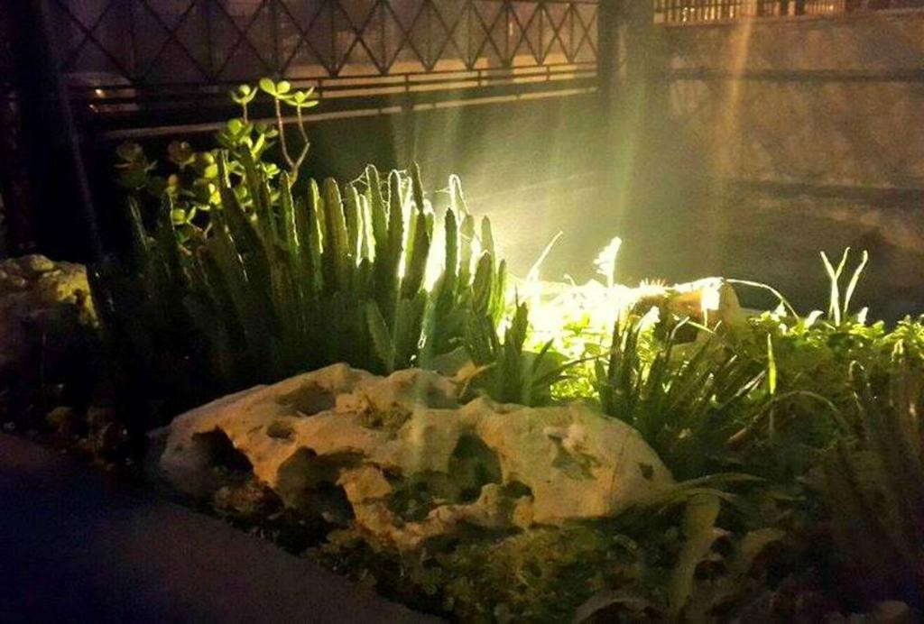 Lo Specchio Del Salento Bed & Breakfast เลชเช ภายนอก รูปภาพ